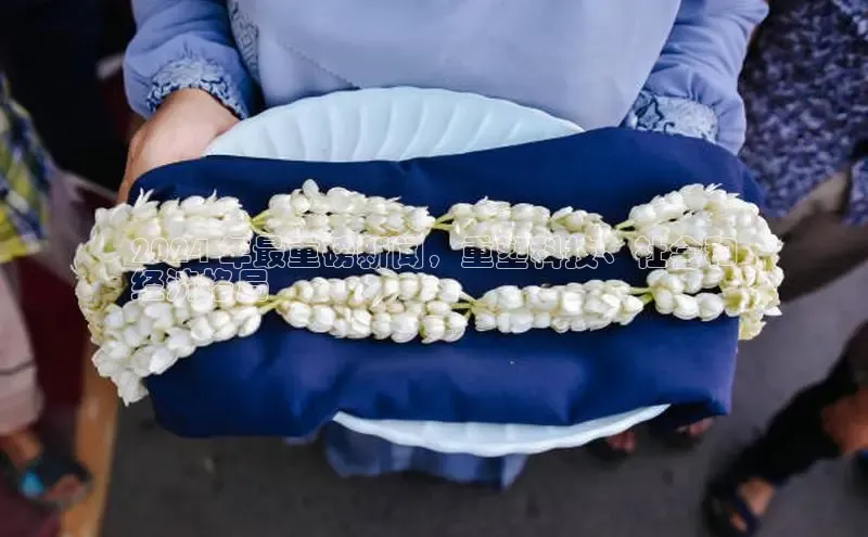 悟空体育最新版本更新内容中海达2024 年最重磅新闻，重塑科技、社会和
经济格局