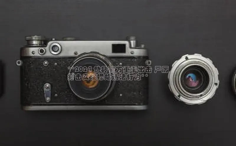 悟空·综合体育官网入口极氪智能科技**2024 勉县警方重拳出击 严厉
打击卖淫嫖娼违法行为**