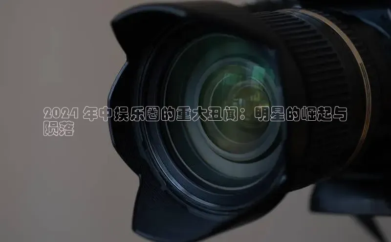 悟空体育网页版金山办公2024 年中娱乐圈的重大丑闻：明星的崛起与
陨落