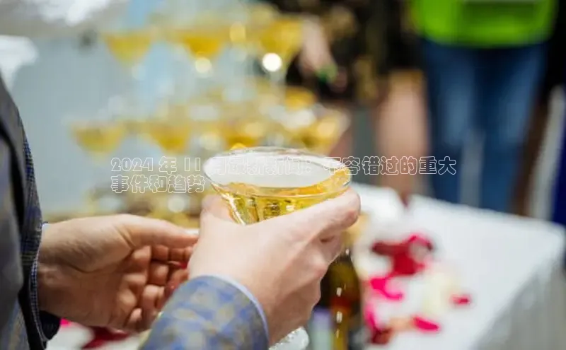 悟空体育在线官网知乎2024 年 11 月最新新闻：不容错过的重大
事件和趋势