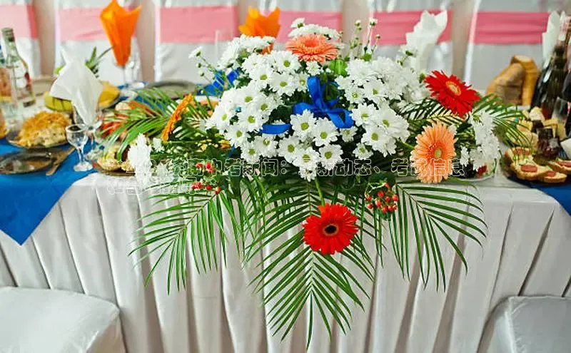 悟空体育网页梯哥哥科技