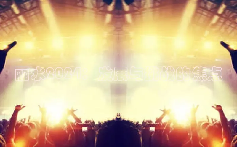 悟空体育首页平台天键股份丽水2024：发展与挑战的焦点