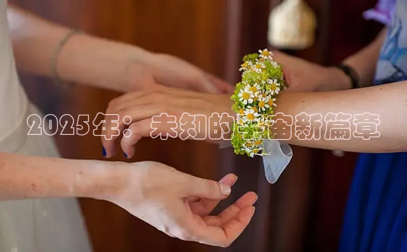 2025年：未知的宇宙新篇章