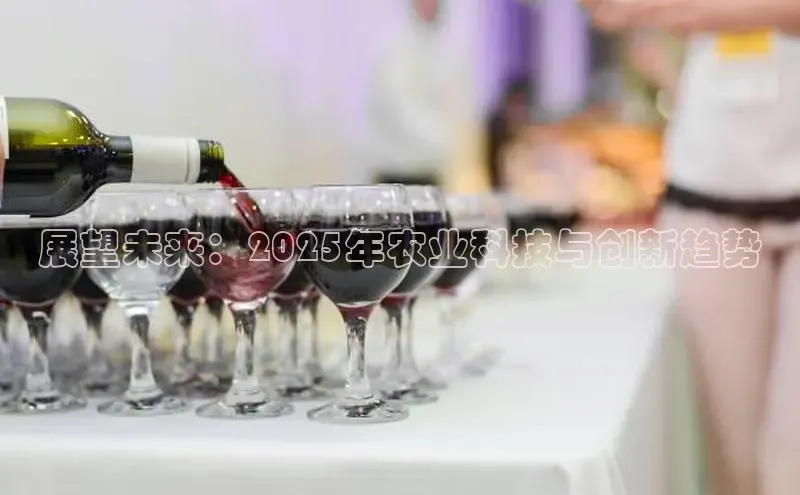 悟空体育最新版本更新内容