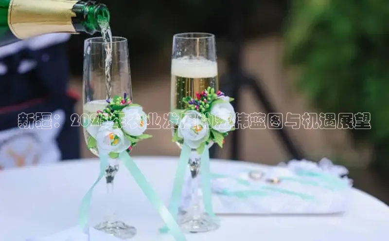 新疆：2025年农业发展的宏伟蓝图与机遇展望