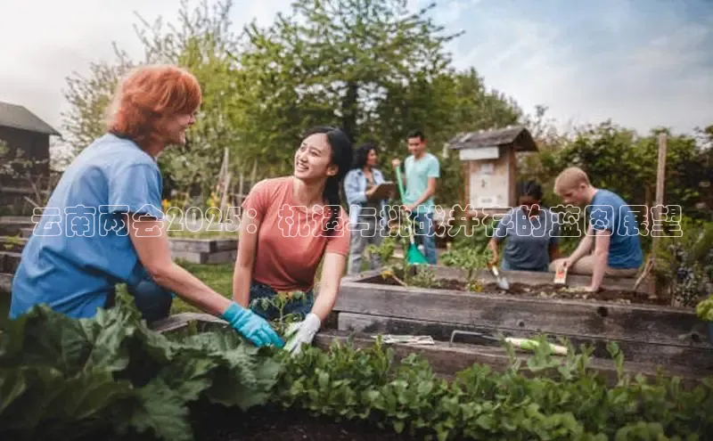 云南两会2025：机遇与挑战并存的蓝图展望