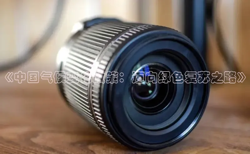 《中国气候变化政策：迈向绿色复苏之路》