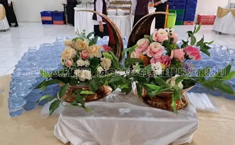 陕西南郑区新集镇：迈向2025的新征程与发展规划