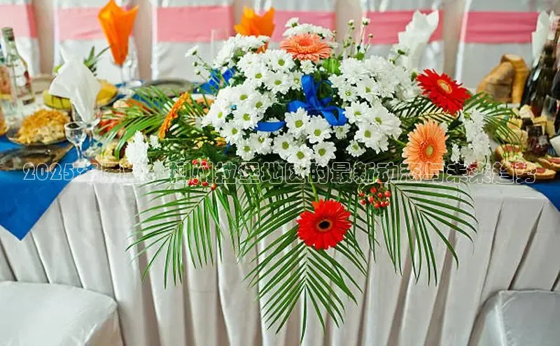 悟空体育app免费下载